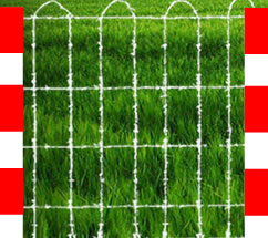 roundedsquarefencing